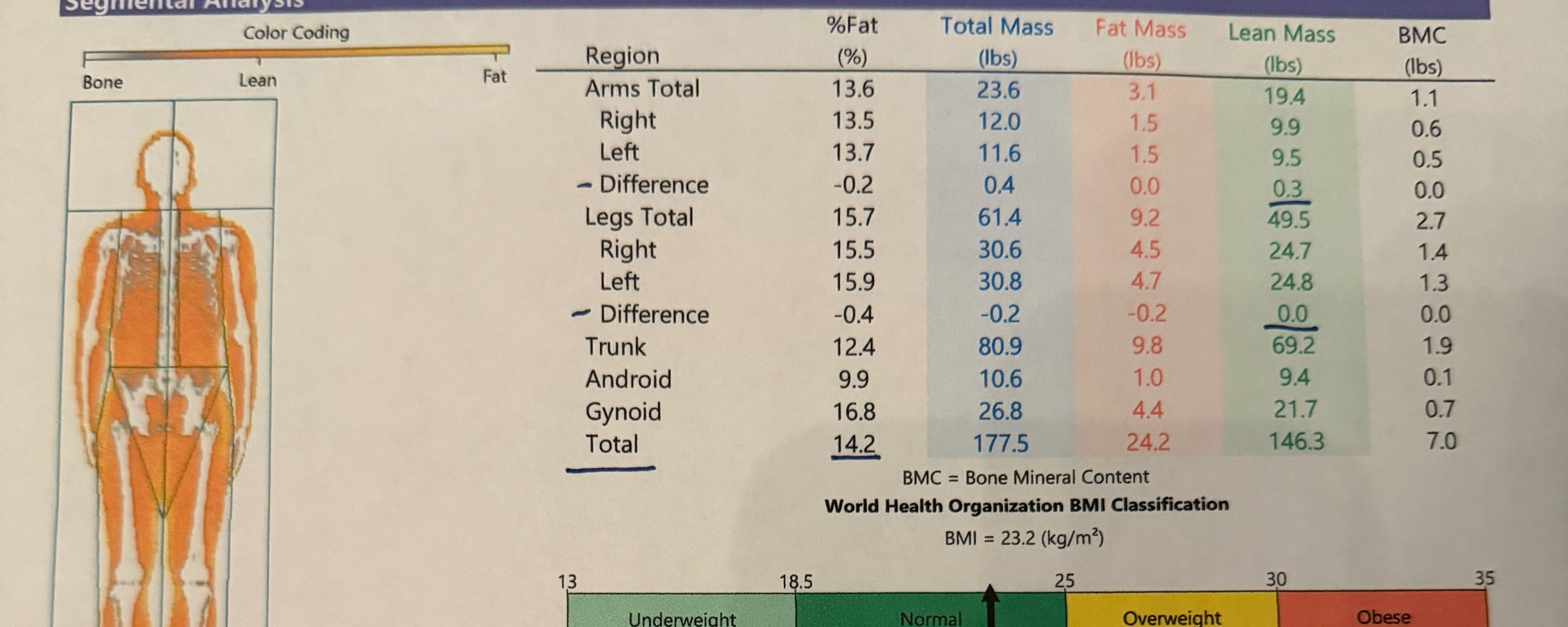 Dexa Scan